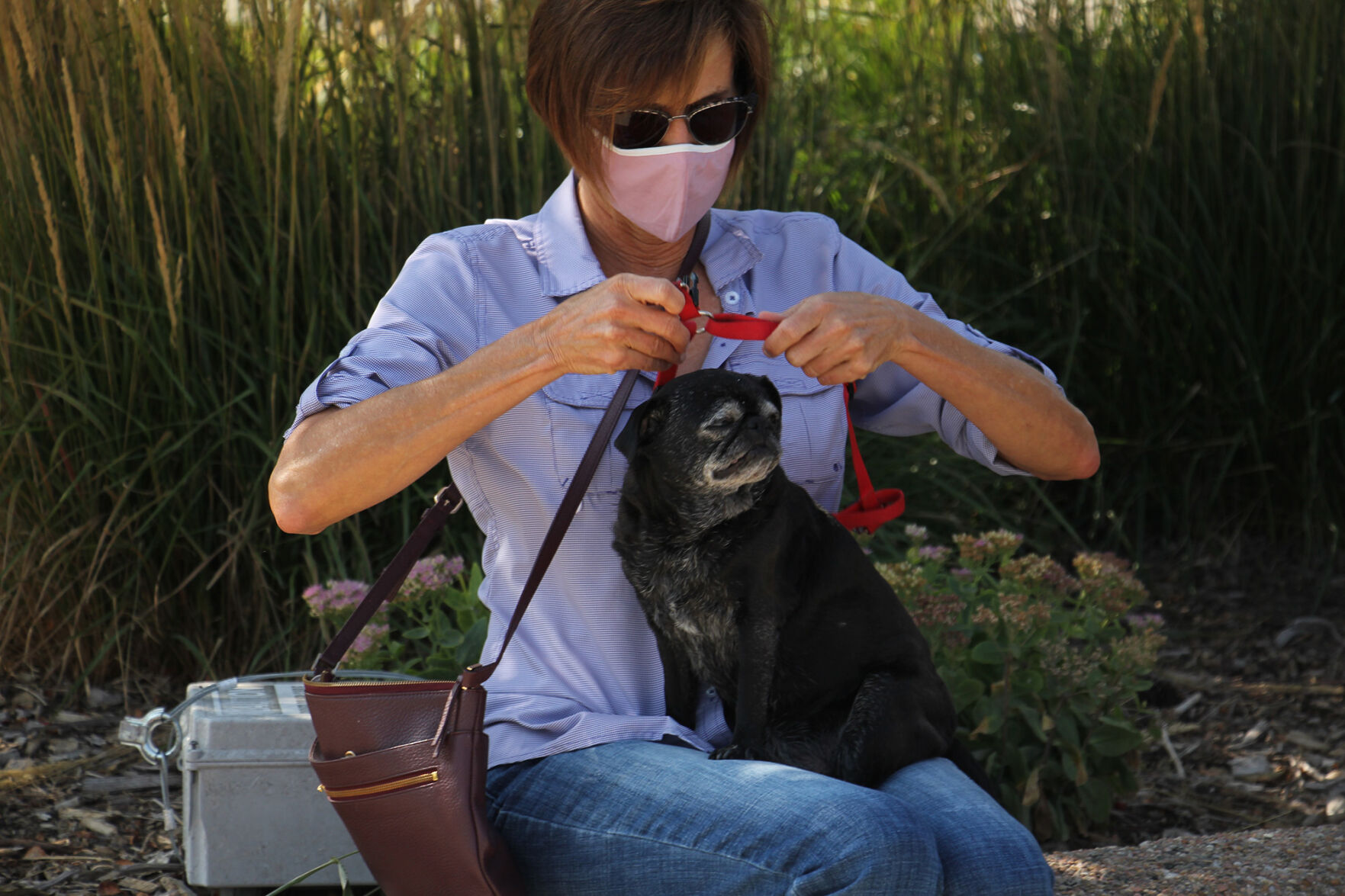 PHOTOS: Pet Blessing